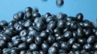 Ağır çekimde düşen taze yaban mersini..