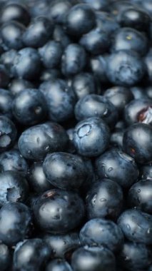 Su damlacıkları ile taze yaban mersinlerinin dikey arkaplanı