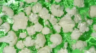 Suda Taze Karnabahar Sulama Efekti Üst Görünüm Yavaş Görünüm.