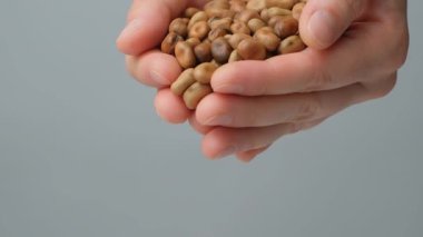 Elleri çiğ pişmemiş vicia faba fasülyeleri ağır çekimde.