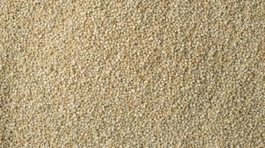 Kuru Beyaz kinoa tohumlarının en üst görüntüsü. Doğal Organik Yüzey