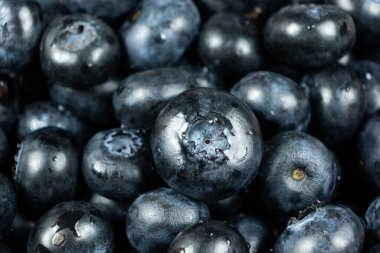 Taze yaban mersininin Makro Dokusunu Yakın plan