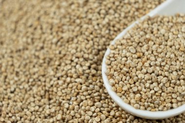 Bir kaşık makroda doğal beyaz kinoa.