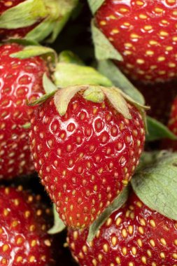 Sulu Çilekler. Yakın plan. Tasarım için canlı kırmızı böğürtlen dokusu