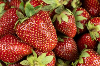 Olgun çilek yığını. Yaz meyvesi arka planı detaylarla dolu