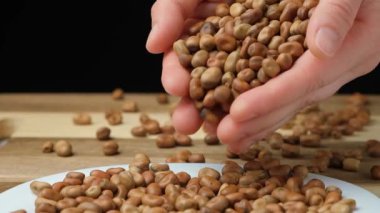 Elleri çiğ pişmemiş vicia faba fasülyeleri ağır çekimde.