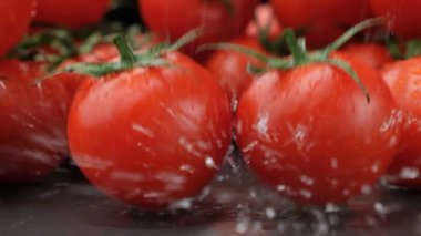 Taze Olgun Domates Yavaş Suyla Suya Düşüyor.