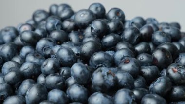 Su damlalarında taze yaban mersini yakın plan, böğürtlen rotasyonu.