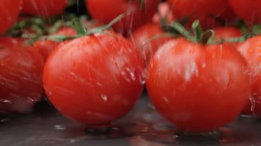 Taze Olgun Domates Yavaş Suyla Suya Düşüyor.