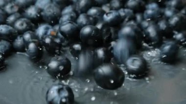 Taze yaban mersinleri suya dökülüyor. Su makro yavaş çekim sıçraması ile..