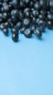 Taze olgun yaban mersinleri masada yuvarlanıyor, dut sıçraması, yavaş çekim dikey.