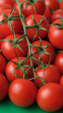 Bir grup taze domatesin dikey dönüşümü