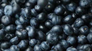 Ağır çekimde düşen taze yaban mersini..