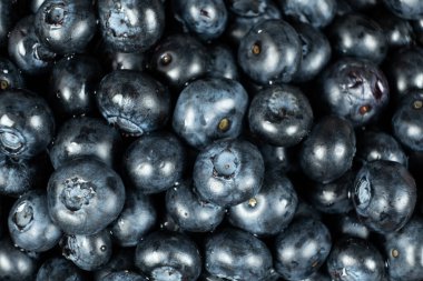 Su Damlacıklı taze yabanmersini. Böğürtlen Arka planı Yakın plan