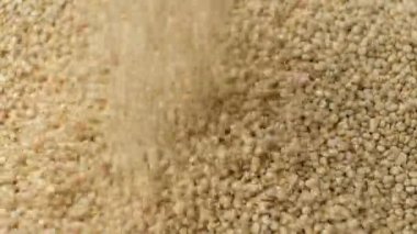 Pişmemiş Beyaz kinoa Yavaş Çekim