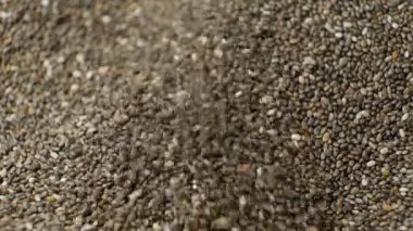 Çiğ Chia Tohumları Yavaş Hareket Makrosuna dökülüyor.