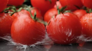 Taze Olgun Domates Yavaş Suyla Suya Düşüyor.