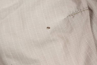 Tekstil Yüzeyindeki Deliğin Macro Çekimi