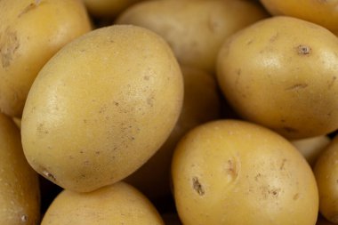 Taze Çiğ Soyulmamış Patates Yakın plan Doğal Çiftlik Sebzeleri