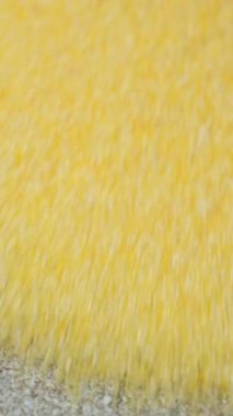 Çiğ mısır ezmesi, makro dikey yavaş çekim