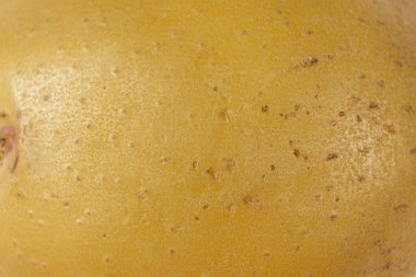 Doğal Soyulmamış Patates Doku Makro Çekim Üst Görünümü.