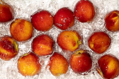 Splash 'le canlı şeftali suyu. Yaz Meyve Sahnesi