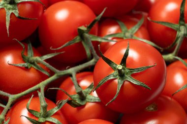 Hasattan Sonra Asmada Taze Domatesler