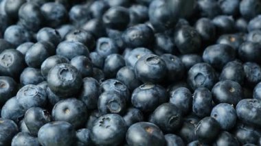 Ağır çekimde düşen taze yaban mersini..