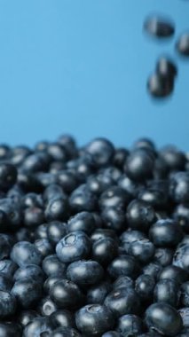 Böğürtlen Düşürme Taze Böğürtlen Yığını, Dikey Yavaş Hareket