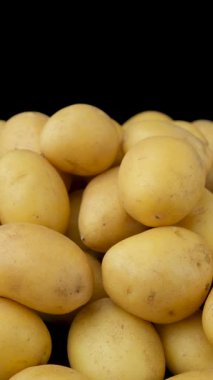 Taze Çiğ Soyulmamış Patates Yakın plan Doğal Çiftlik Sebzeleri