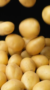 Yığının üzerine taze, soyulmamış çiğ patateslerin yavaşça düşmesi. Dikey ağır çekim.