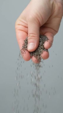 Chia tohumları dökülüyor. dikey ağır çekim. Organik süper gıda bileşeni