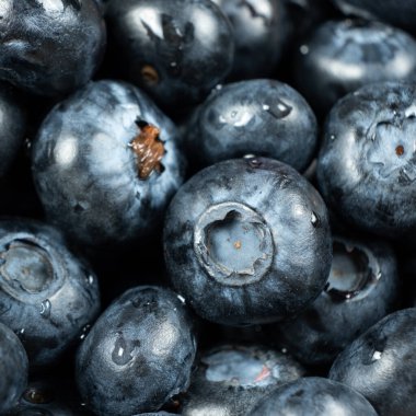 Su damlalarında taze yaban mersini yakın plan, böğürtlen arka plan.