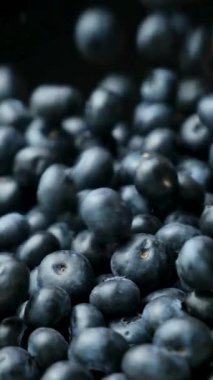 Böğürtlen Düşürme Taze Böğürtlen Yığını, Dikey Yavaş Hareket