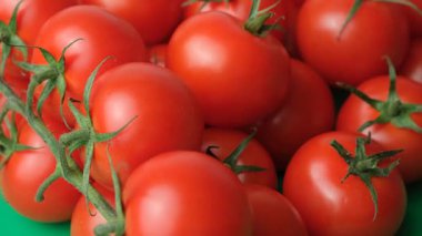 Sarmaşıkta Kokteyl Domatesleri.