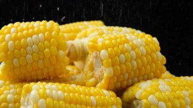 Pişmiş mısır koçanları üzerine tuz serpmek, siyah arka plan, yavaş çekim