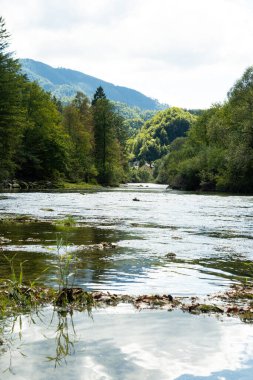 Avusturya Dağları ve Alp Doğasının Uzak Köyü Dikey Görünümü.