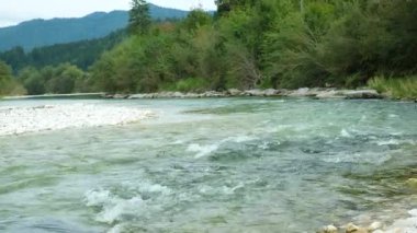 Yazın Orman Irmağı ile Güzel Doğal Arkaplan.