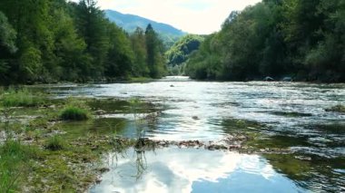 Yazın orman nehri ile güzel doğal arka plan, suya yansıyan bulutlar, yavaş çekim..