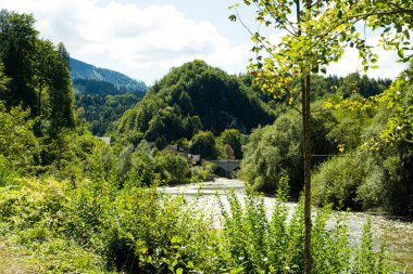 Avusturya Dağları ve Alp Doğası 'nın Uzak Köyü Panoramik Manzarası.