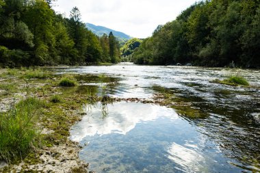 Yazın Orman Irmağı ile Güzel Doğal Arkaplan.