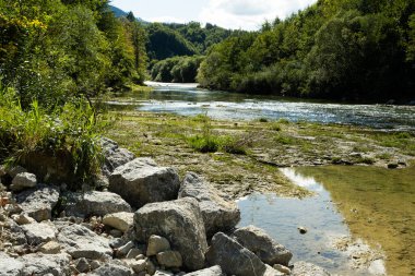Beautiful River Flowing Through Mountain Forest. Peaceful Nature Landscape with Pure Silence.