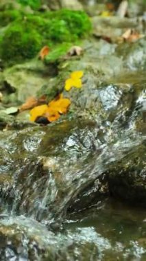 Dağ Akıntısı. Yavaş Çekimde Akış, Sahne Doğası Arkaplanı.