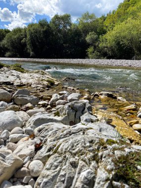 Manzaralı Nehir ve Alp Ormanı. Saf Doğa ve Ebedi Güzellikle Görkemli Dağ Manzarası.