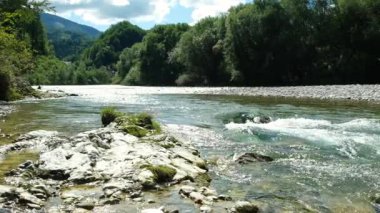 Yazın Orman Irmağı ile Güzel Doğal Arkaplan.