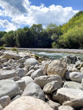 Manzaralı Nehir ve Alp Ormanı. Saf Doğa ve Ebedi Güzellikle Görkemli Dağ Manzarası.