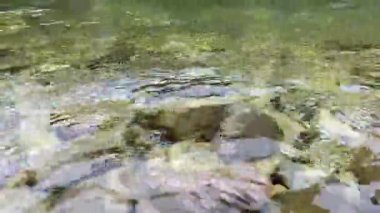 Nehir Kayalık Altında Akıyor, Doğal Su Arkaplanı.