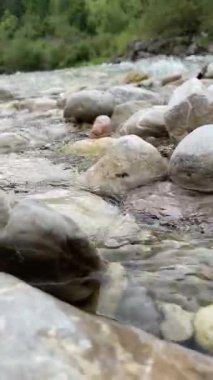 Manzaralı Nehir ve Orman. Saf Doğa ve Ebedi Güzellikle Görkemli Dağ Manzarası.