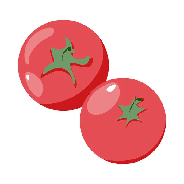 番茄孤立单一简单的卡通画 平面矢量图解 — 图库矢量图片