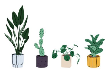 Beyaz tencereli ot seti. Seramik kapta uzun yapraklı dekoratif yeşil bitki saksısı. Yurt içi yeşillik kavramı. Ev içi tesis simgesi